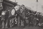 宣伝用の象のパレード